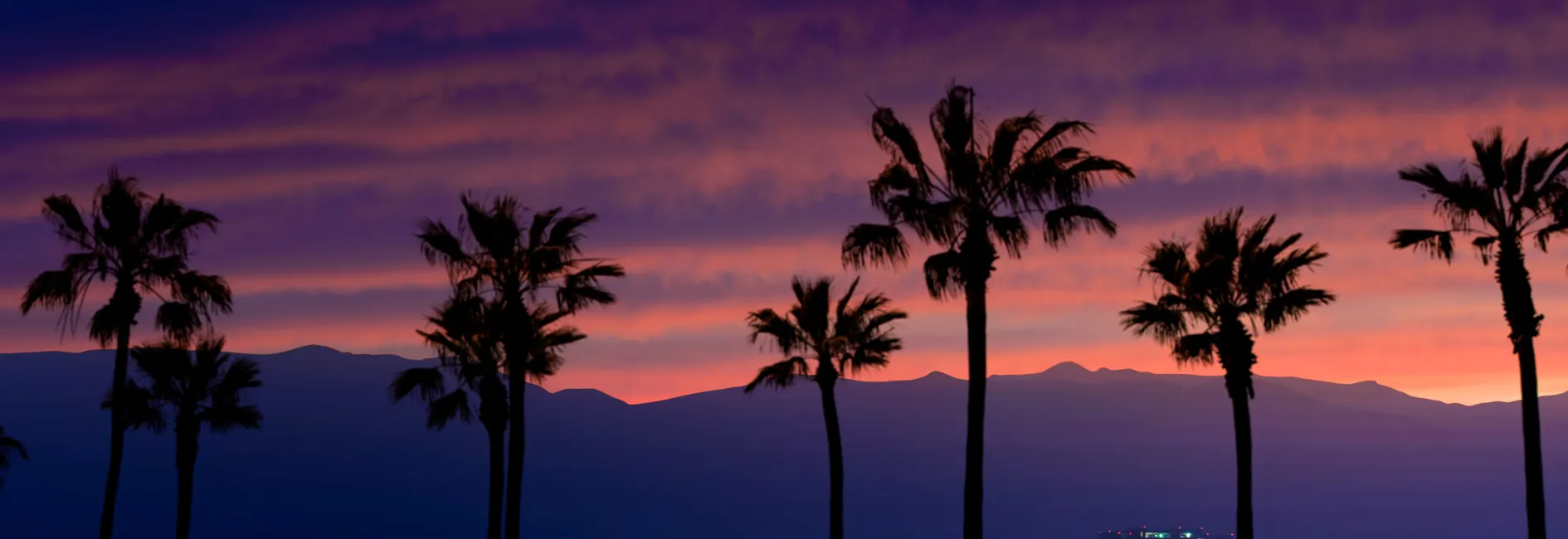 Skyline van palmbomen met paarse achtergrond