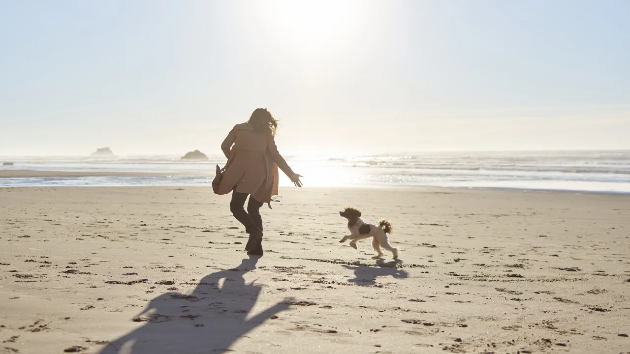 Hond die met zijn baas over het strand holt