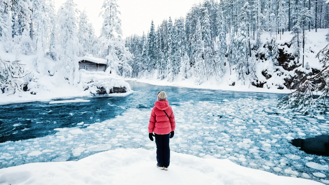 Vrouw met roze jas die in een besneeuwd natuurlandschap staat in Lapland
