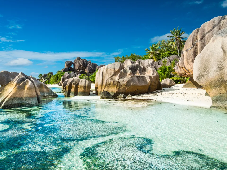 Tropisch strand met blauw water en wit zand en palmbomen
