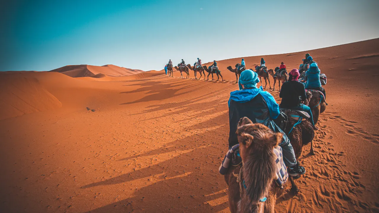 Kamelenrijden in de Sahara