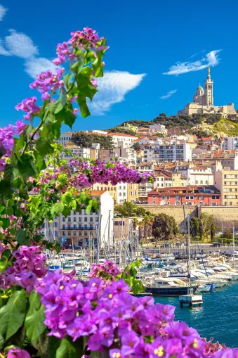 Kleurige bougainvillea-bloemen op de voorgrond, rechts onder een jachthaven, daarachter een stad met lichte huizen op een heuvel, daarboven een blauwe lucht met enkele wolken.