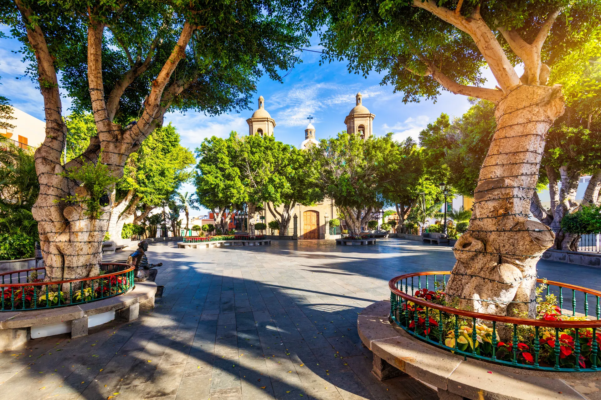Stad van Gran Canaria met twee oude bomen op de voorgrond en centrum op de achtergrond