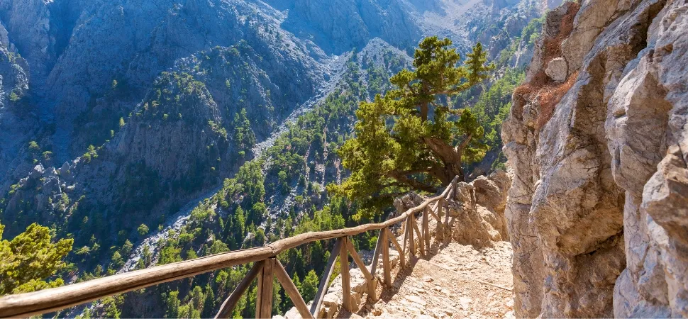 Wandelpad in de bergen van Kreta