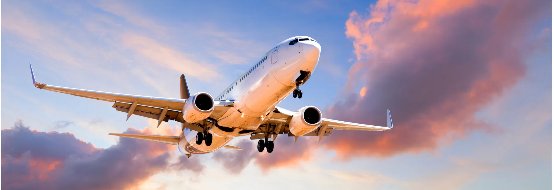 vliegtuig vliegt door roze en blauwe lucht