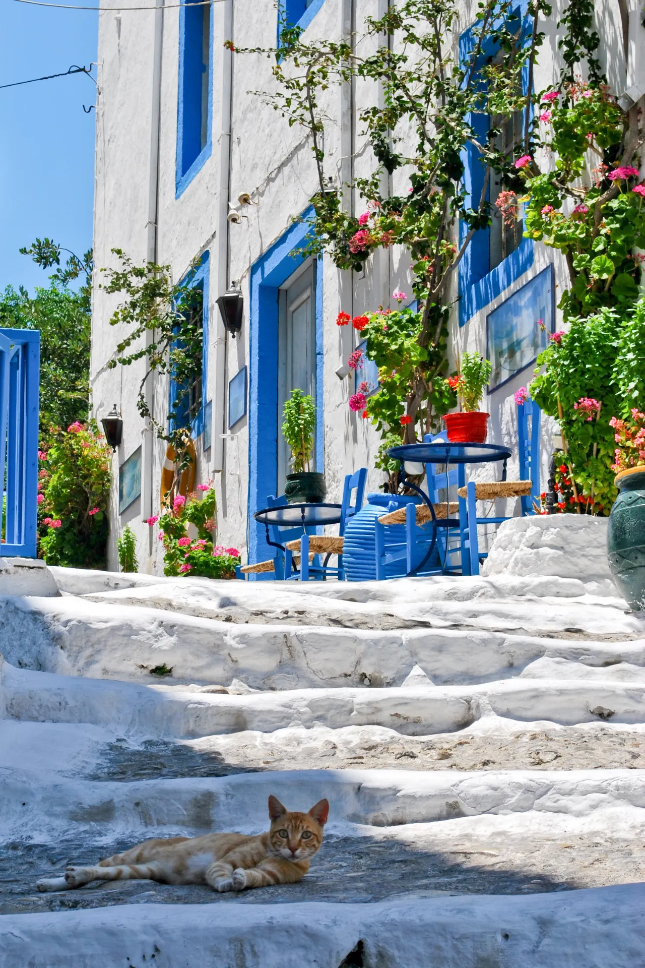 Kos stad