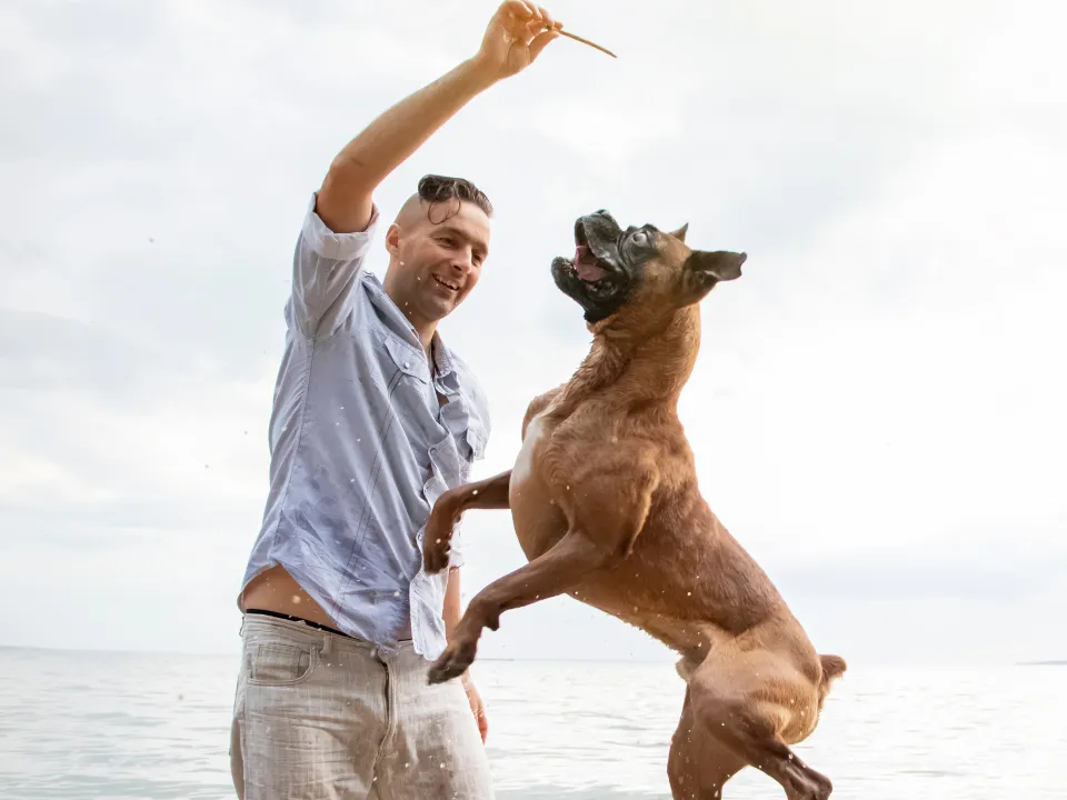 Hond met baas en stok spelen op het strand