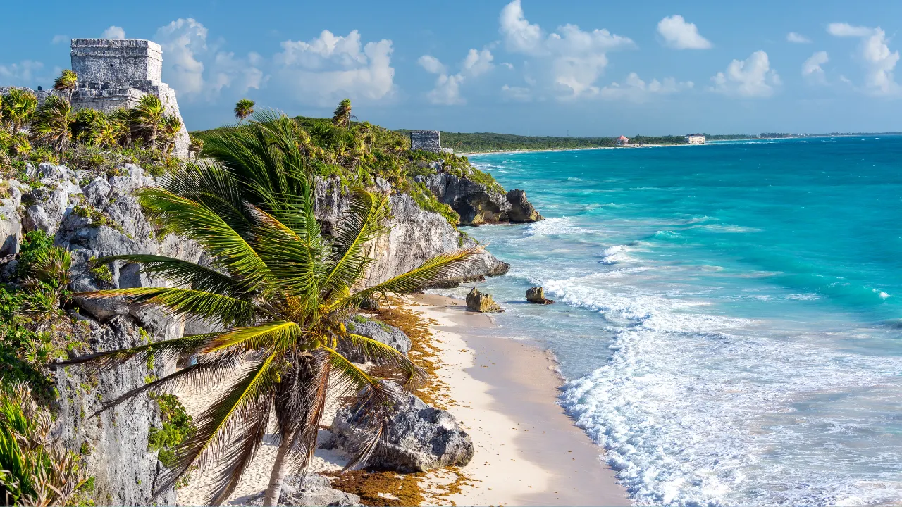 Strand van Mexico met links rotsen en palmbomen en midden wit zandstrand en rechts de blauwe zee
