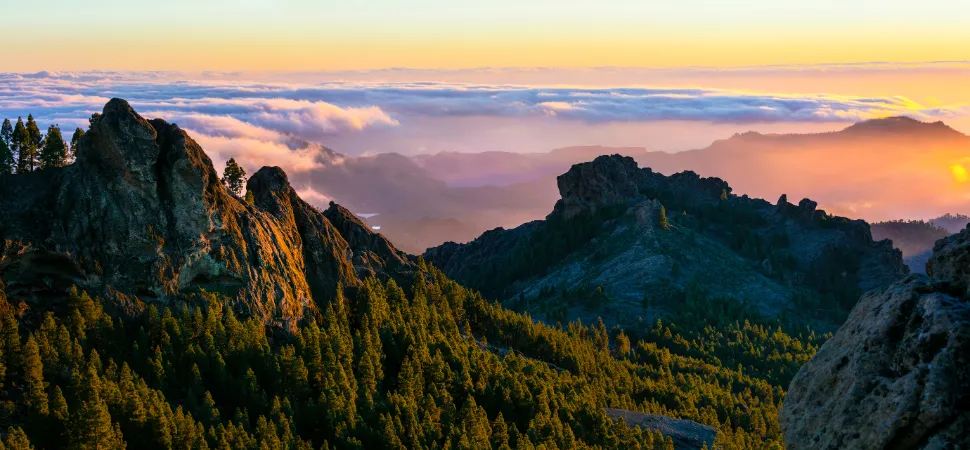 beboste bergen op Gran Canaria met laaghangende wolken in het gouden uur