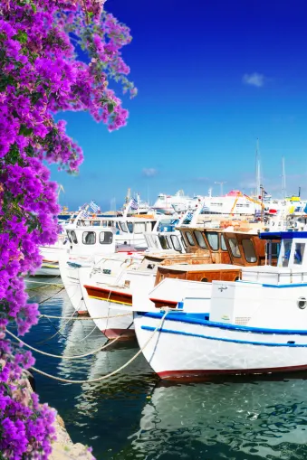 Witte boten liggen voor anker in de haven, het water weerspiegelt het stralende blauw van de lucht, terwijl links felgekleurde bougainvilleabloemen omlaag hangen vanaf de bovenste rand van het beeld.