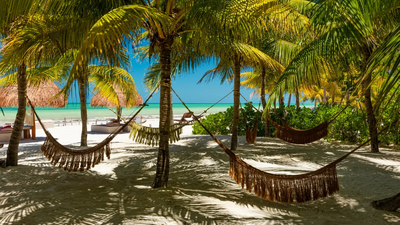 Wit zandstrand met palmbomen die voor schaduw zorgen met hangmatten dus de palmbomen met op de achtergrond helderblauwe zee