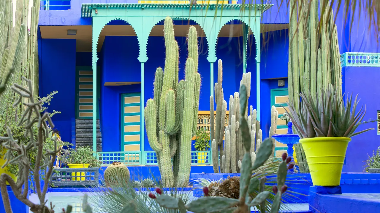 Jardin Mojorelle in Marrakech