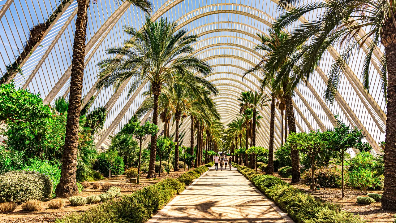 Overdekte tuin met palmbomen in Valencia