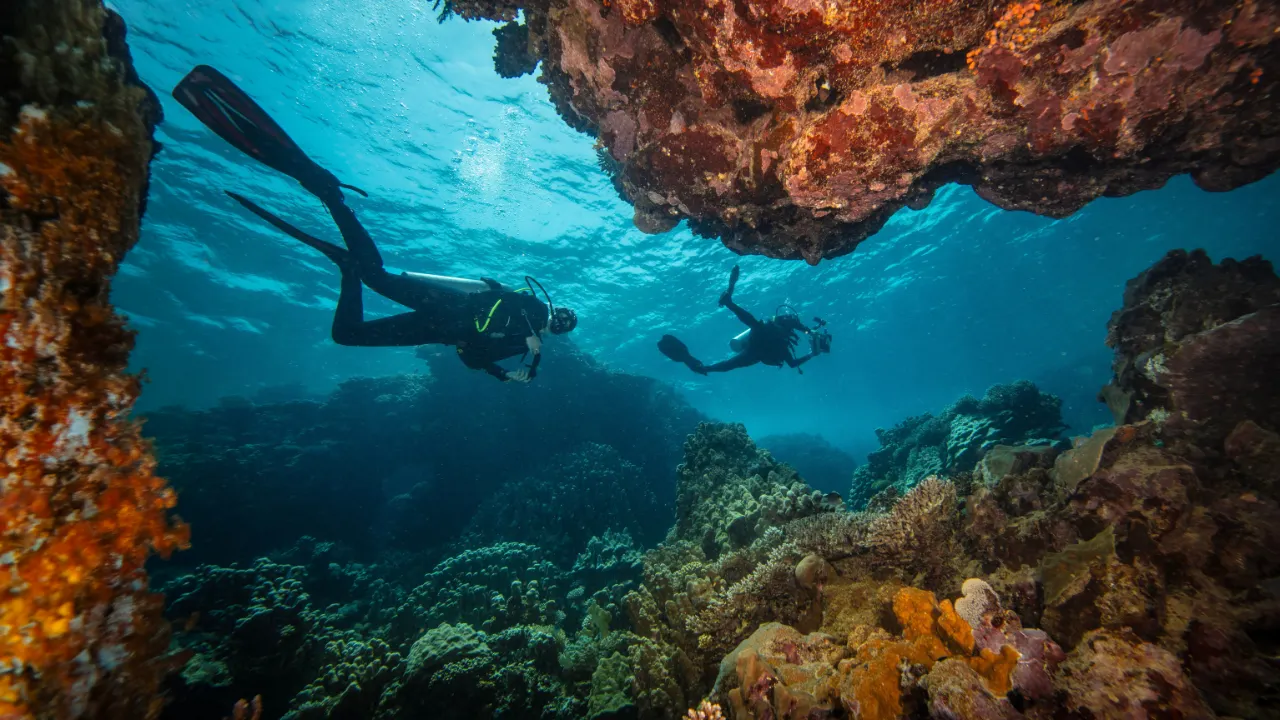 Twee duikers die in de ocean zwemmen tussen de rotsen