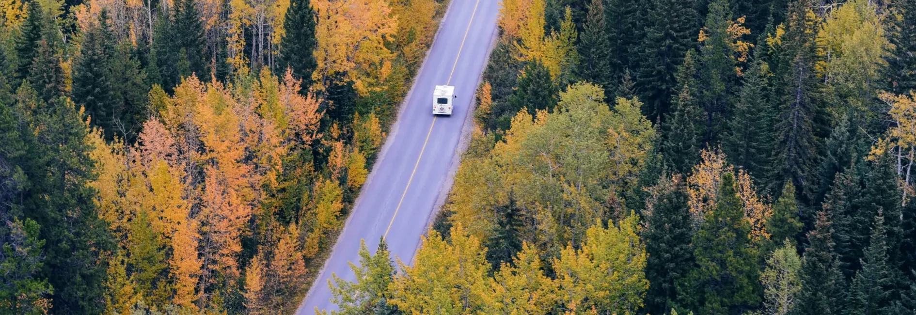 Vogelperspectief van auto die door bos rijdt