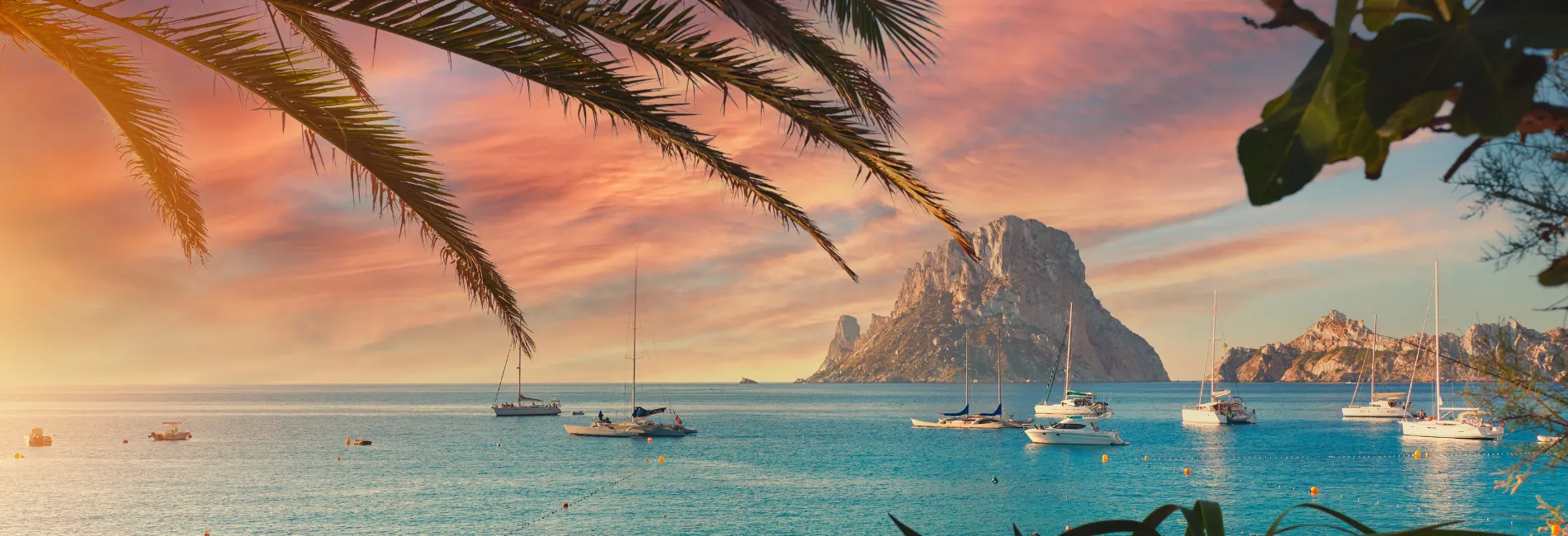 Palmtakken boven de blauwe zee bij zonsondergang. Verschillende boten zwemmen voor een rotsachtig eiland. De perfecte last-minute bestemming op Ibiza voor natuurliefhebbers en zonaanbidders.