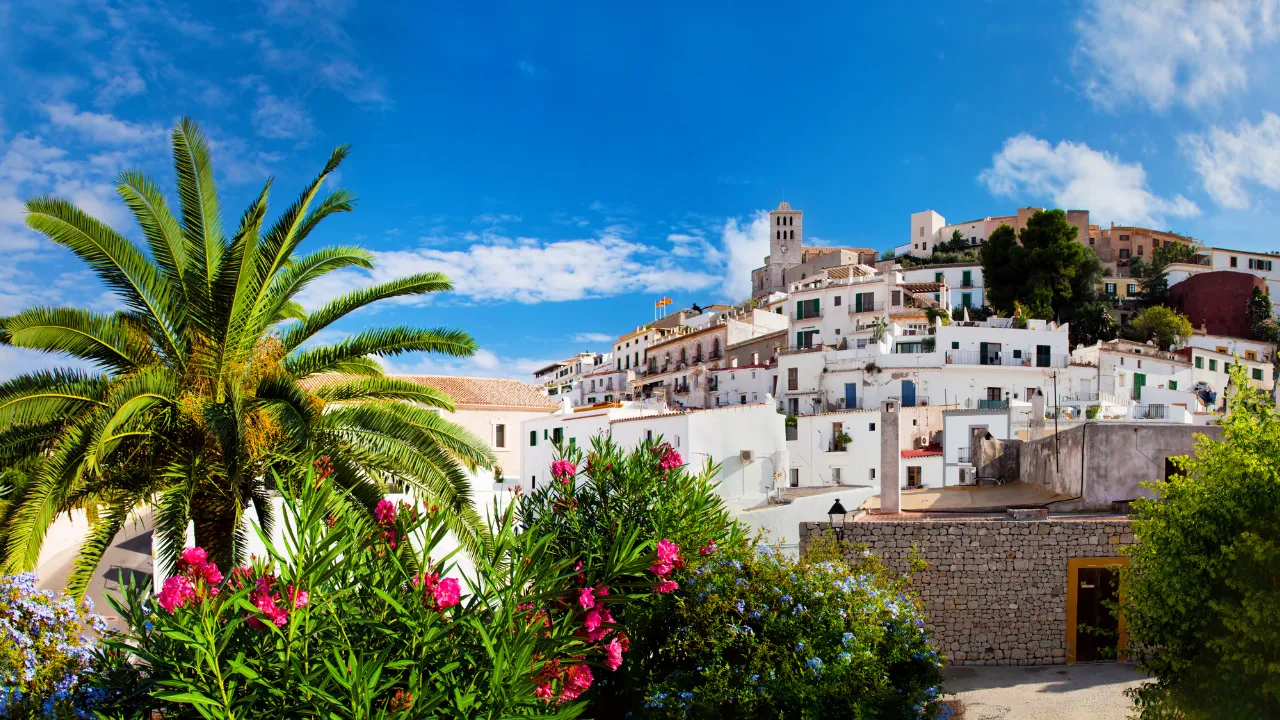 wit huisje op een heuvel, op de voorgrond een palmboom en bloeiende planten