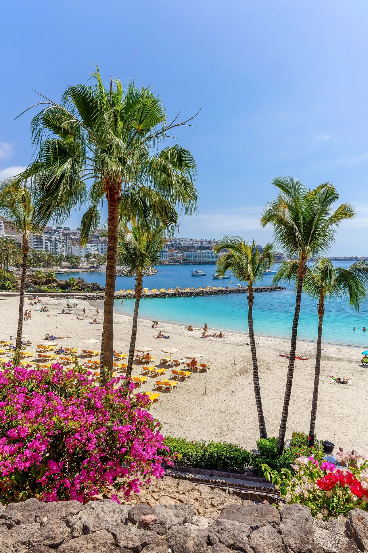 Palmbomen op het strand in Gran Canaria
