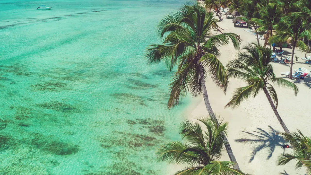 Helder blauw water met wit strand en palmbomen vanuit vogelperspectief
